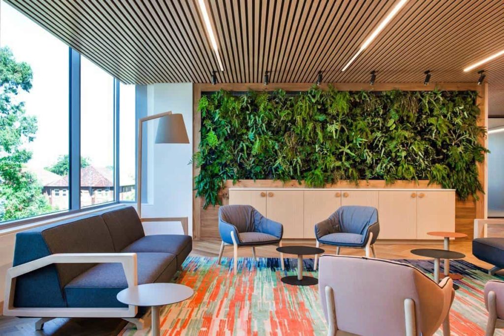 Naturally lit meeting room with natural plant room divider