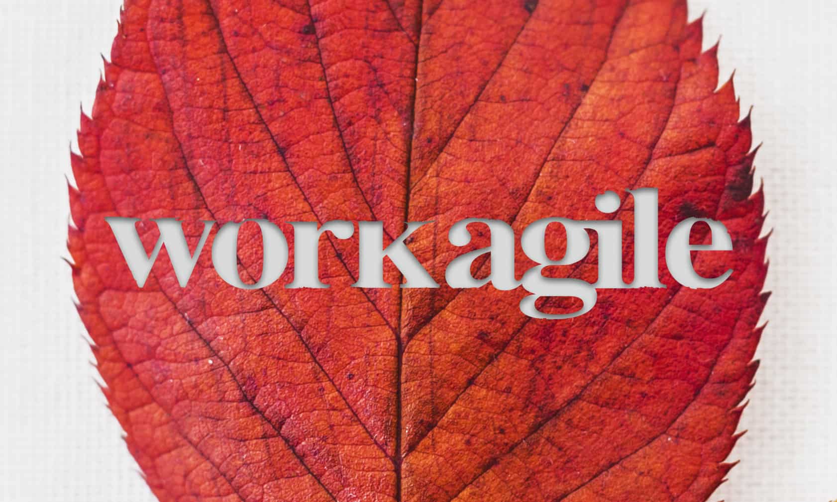Workagile logo etched in an autumn leaf