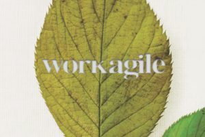 Workagile Logo on a fallen autumn leaf
