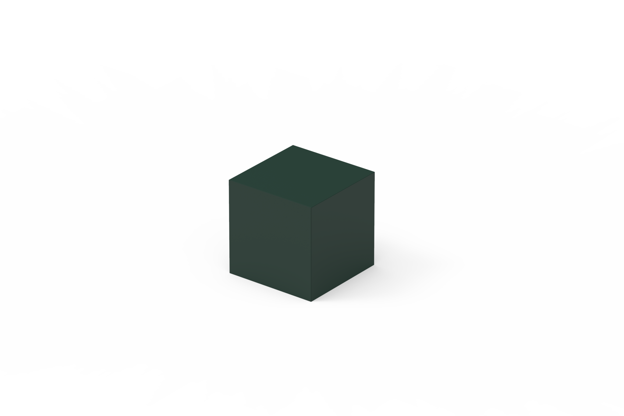 module-2-conifer